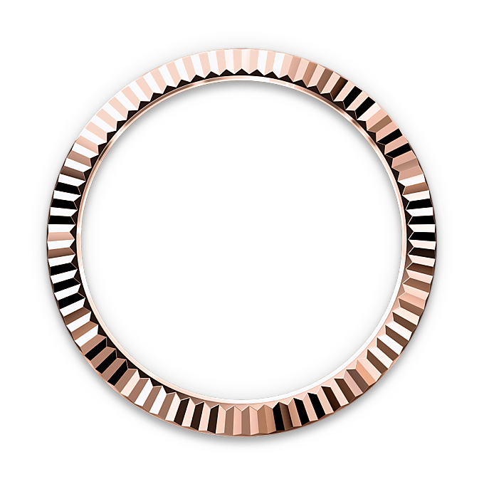 rolex sky-dweller in 18 ct everose gold, m336935-0008 - Chronolink