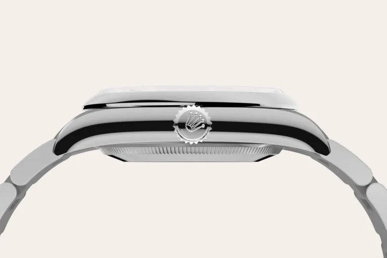 rolex oyster perpetual in oystersteel, m126000-0013 - Chronolink