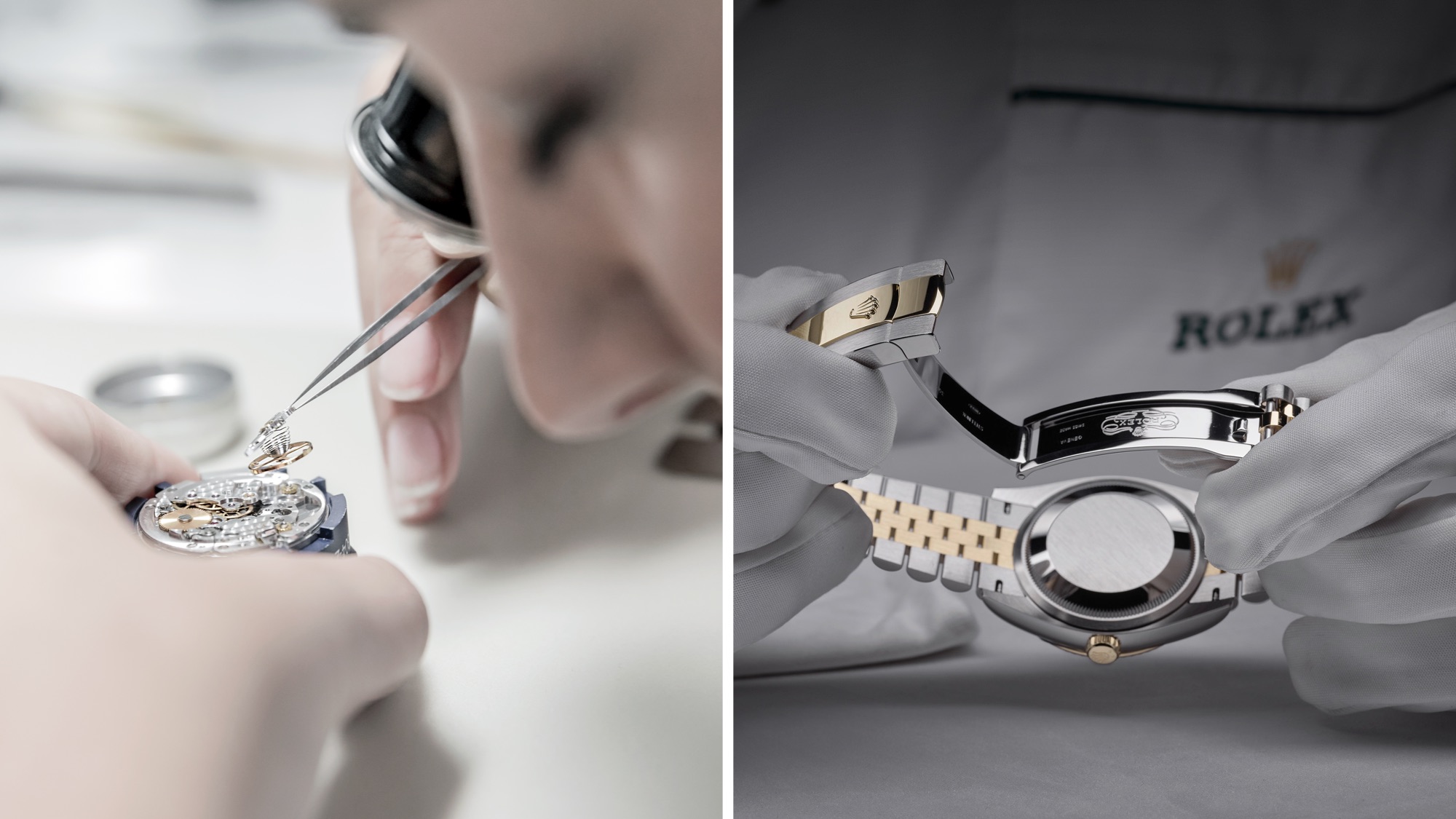 A voyage into the world of Rolex - Chronolink